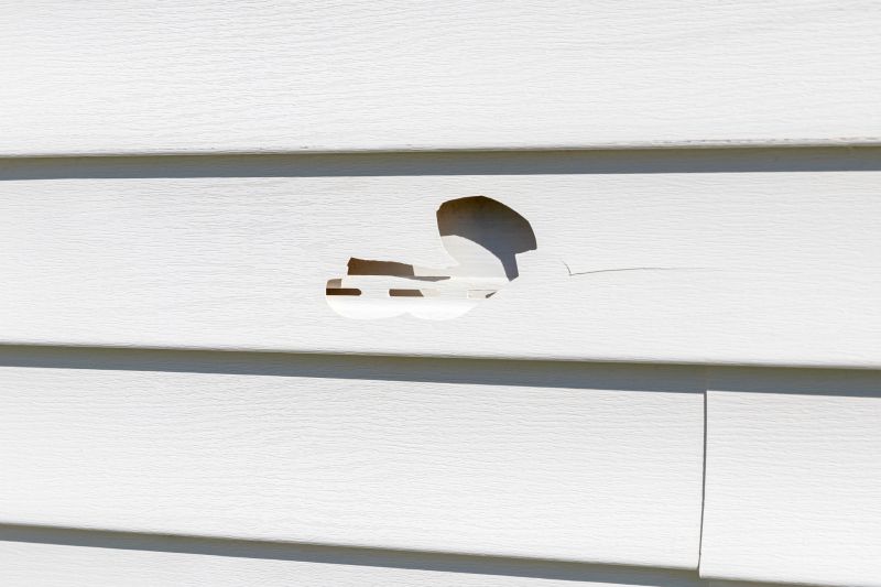 Vinyl Siding Repair Preparation
